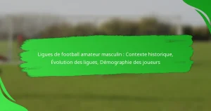 Ligues de football amateur masculin : Contexte historique, Évolution des ligues, Démographie des joueurs