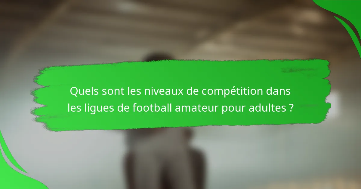 Quels sont les niveaux de compétition dans les ligues de football amateur pour adultes ?